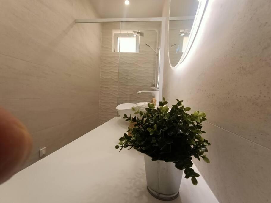 Appartement The Chic Liberation